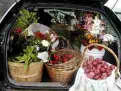 carload of CSA veggies and flowers