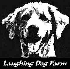 LAUGHINGDOG LOGO big letters2