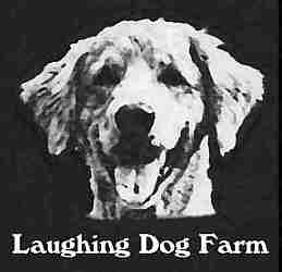 Sheba immortalized in Laughing Dog Farm