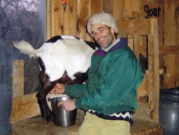 milking Flossie