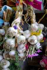 garlic braids 2008