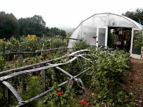 hoophouse and cold frame at Laughing Dog Farm