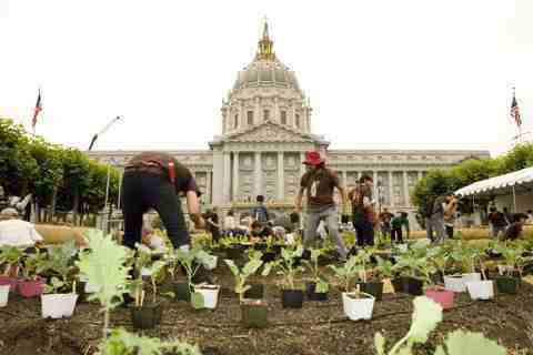 Victory Garden planted in front of San Francisco City Hall